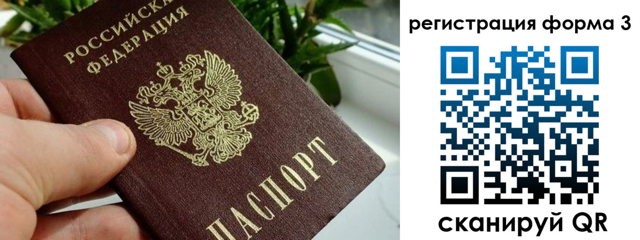 прописка штамп в Гудермесе